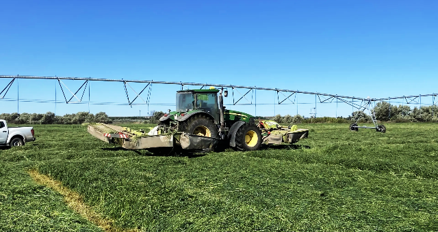 En Río Negro potencian la exportación de alfalfa